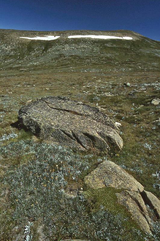 WT 0400 065-21 Australia.jpg